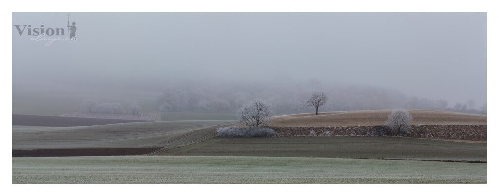 brume