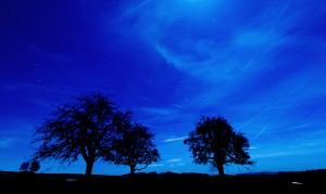ciel étoilé