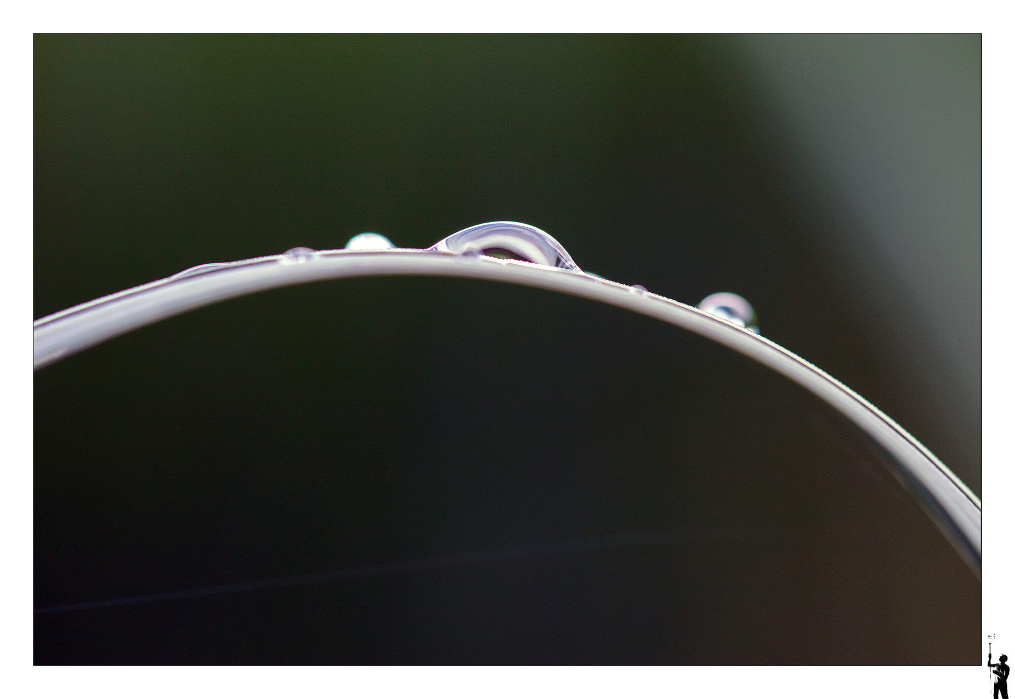 Goutte d'eau en macro