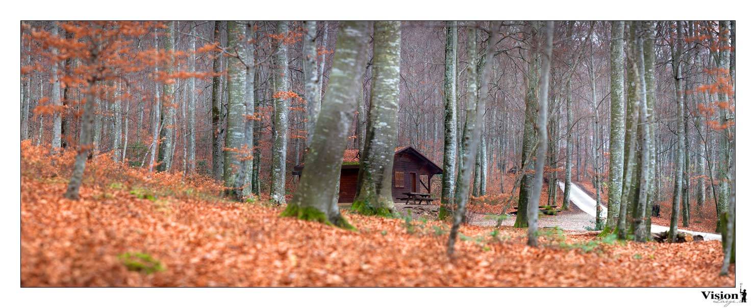 RefugeEnForet