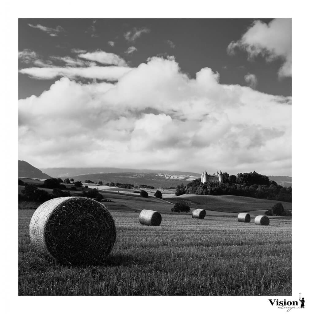 Photo argentique paysage Champvent en noir et blanc en 6x6