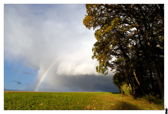 Arc-en-ciel Novembre 2023 automne