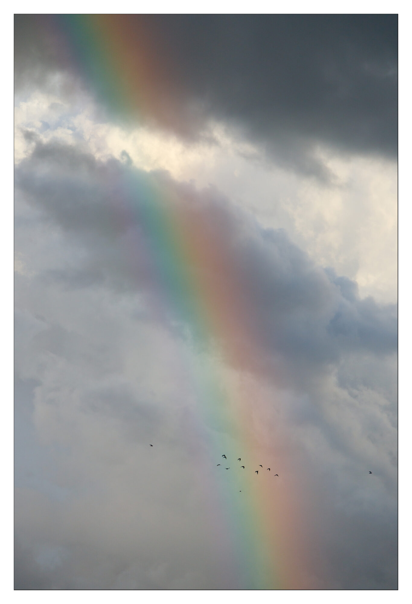 Arc-en-ciel après l'orage. Prise de mon balcon ;-) Des oiseaux passent dans le sillage de l'arc-en-ciel.