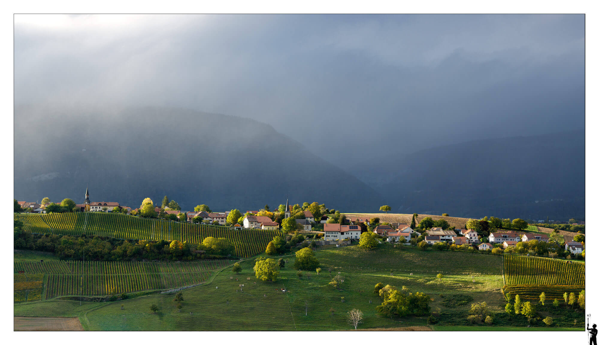 Belles lumières sur la région de champagne (filtre polarisant CPL)