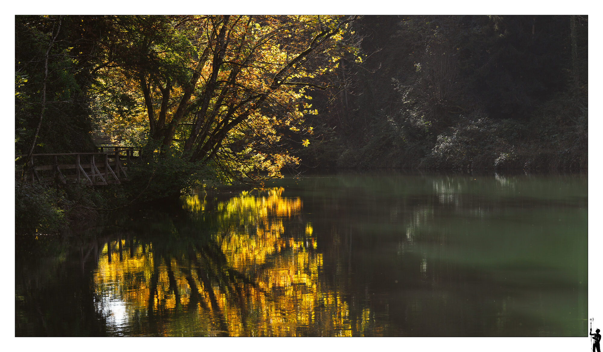 Reflets des couleurs de l'automne dans la rivière de l'Orbe à Orbe en suisse.