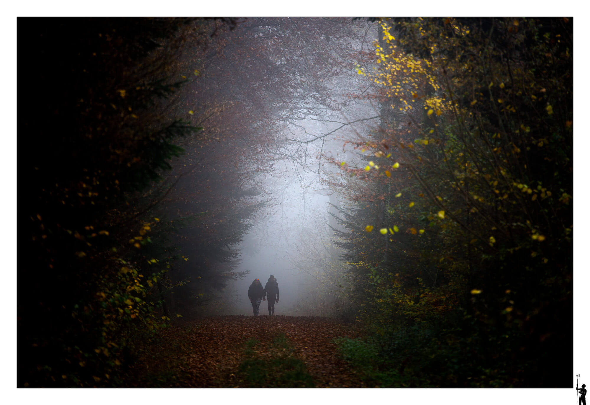 Promeneurs dans les bois en automne en Suisse