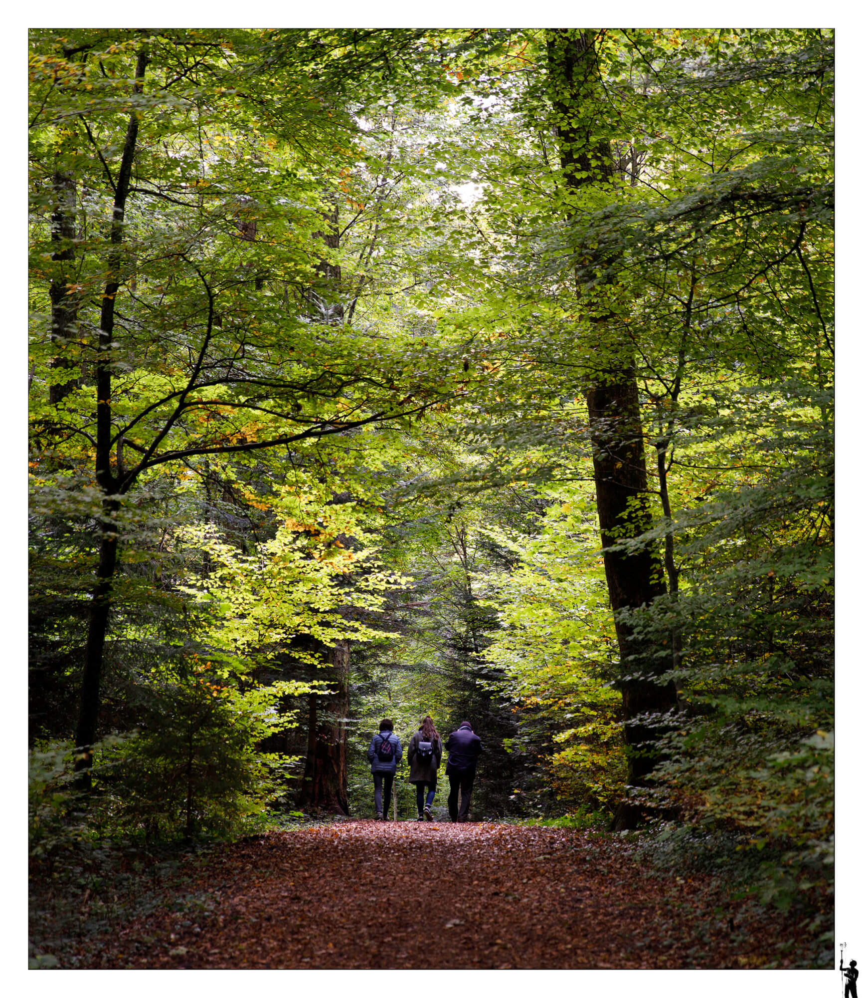 Promeneurs dans les bois