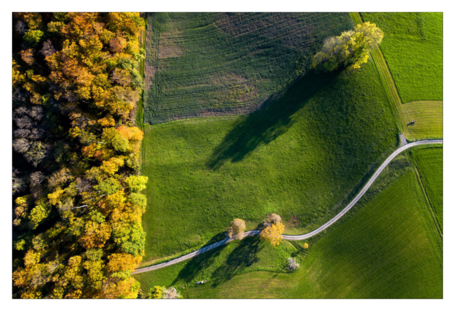 Vue du ciel au drone DJI Mini Pro 3 de la forêt de Champagne en automne