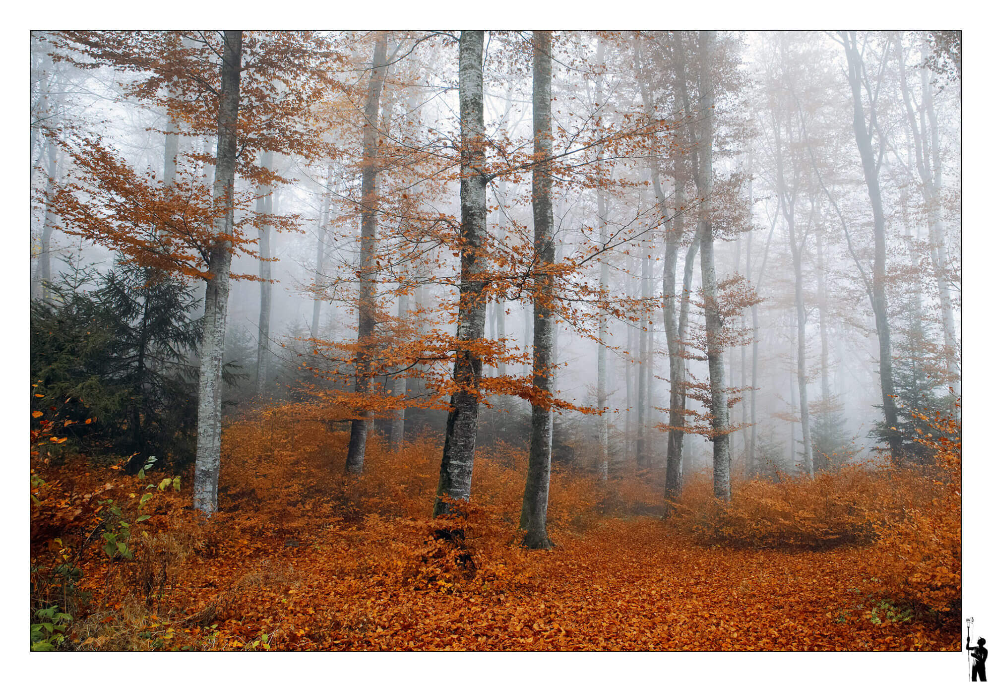 L'automne a Cossonay