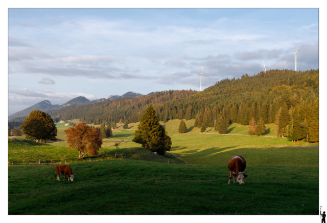 Eolienne mont des cerfs depuis l'Auberson