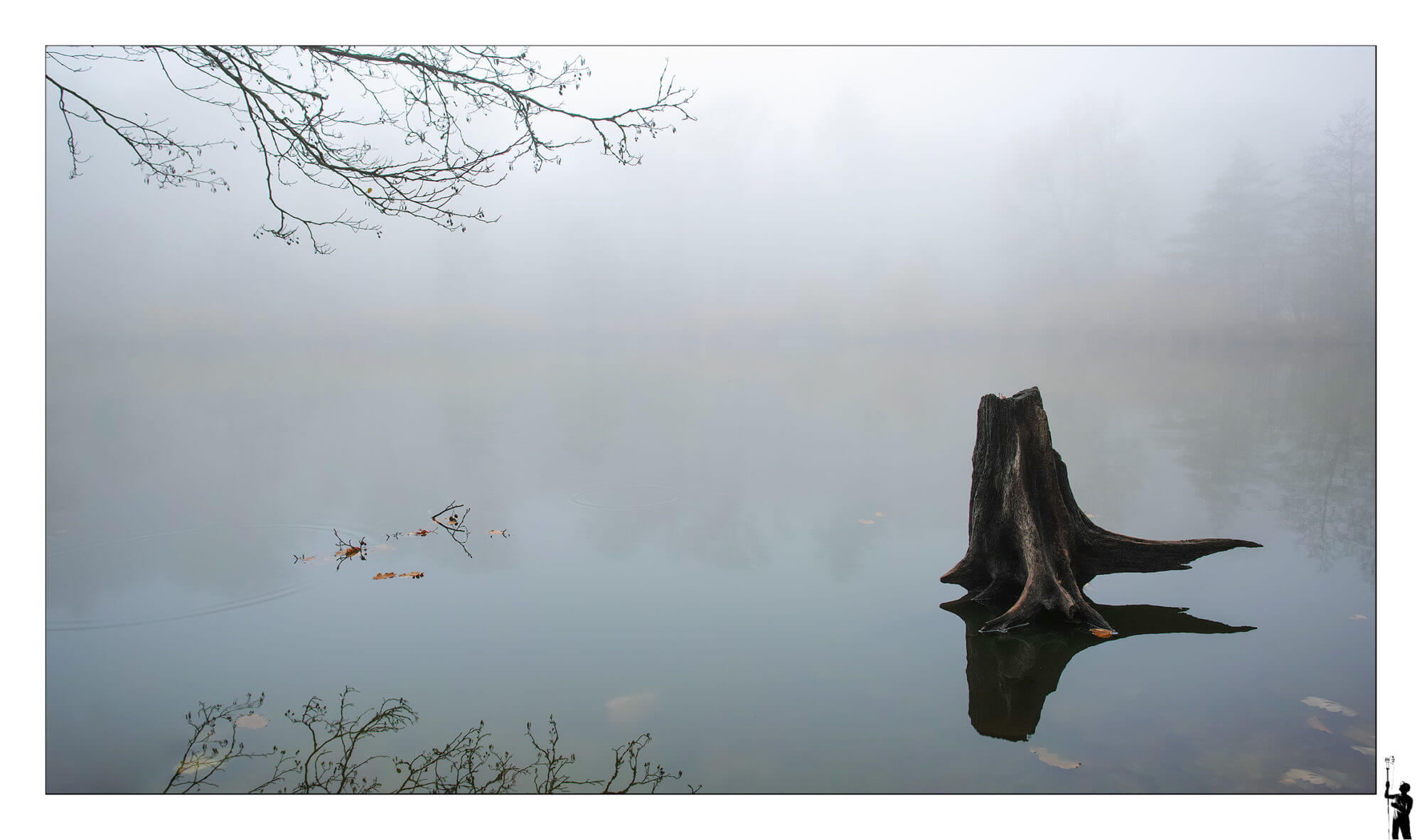 Etang de Cossonay