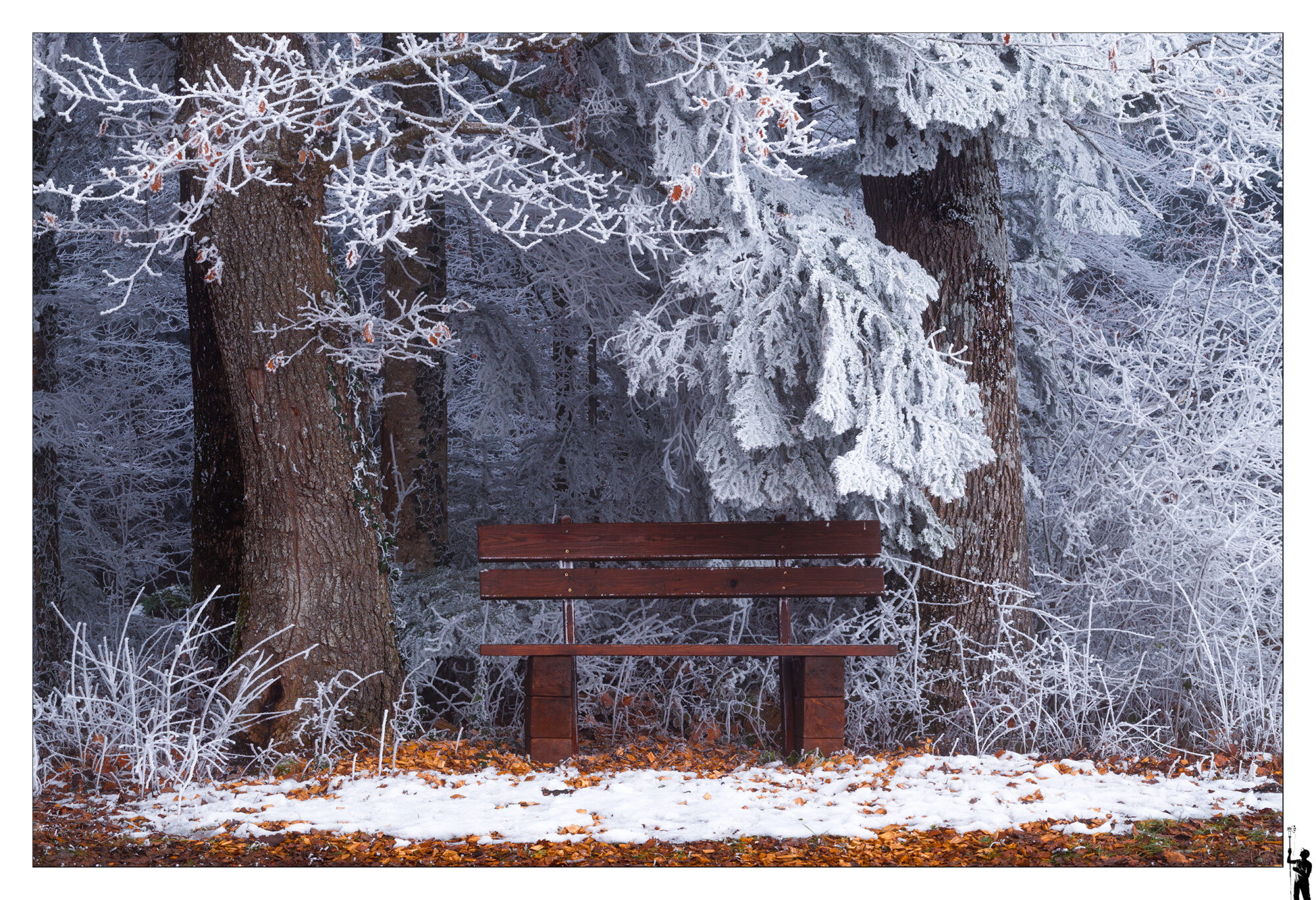 Banc au bord de la forêt de givre.
Bench at the edge of the frost-covered forest.
RF 70-200 F4 L Is