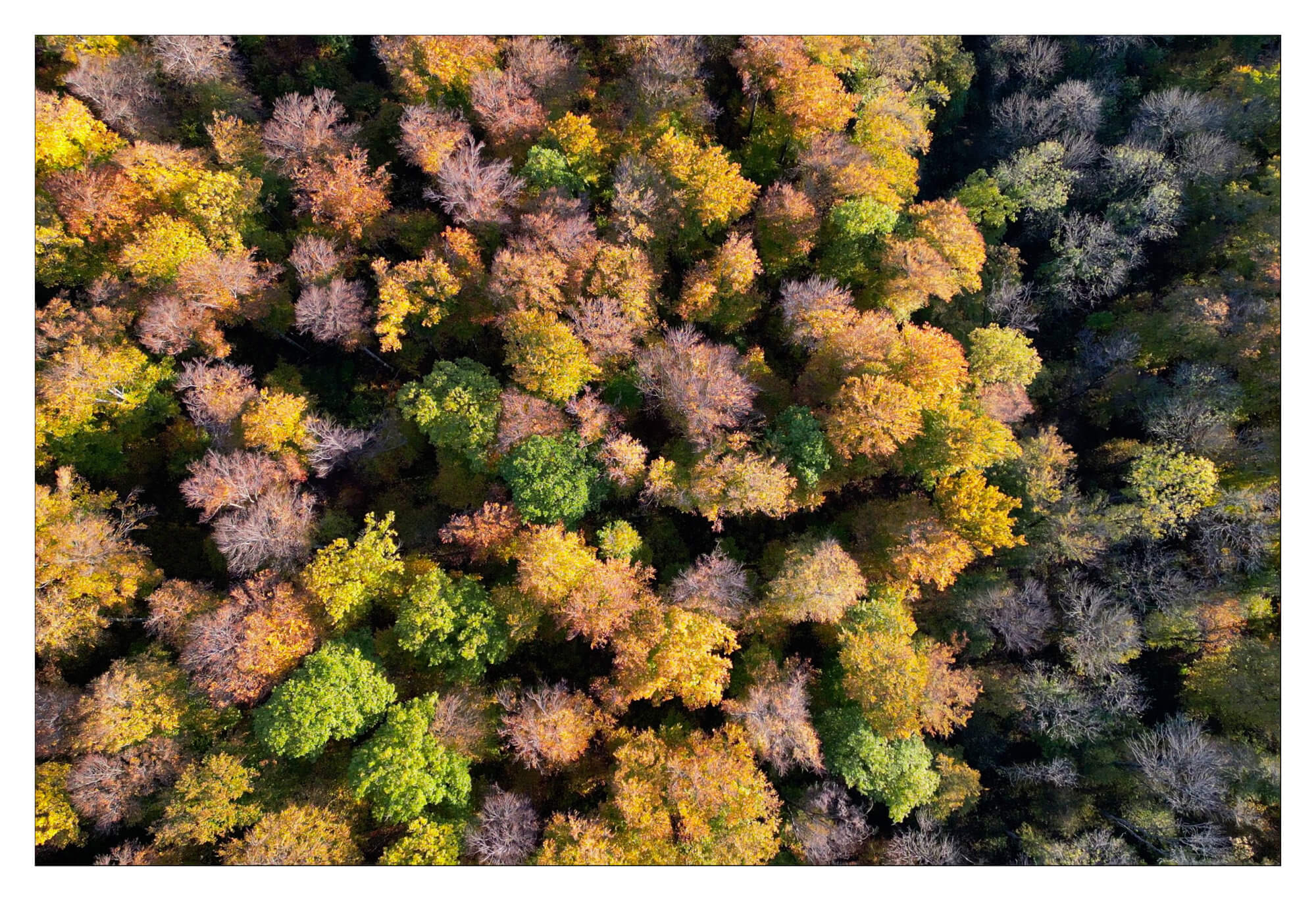 Jura vue du ciel en Suisse
