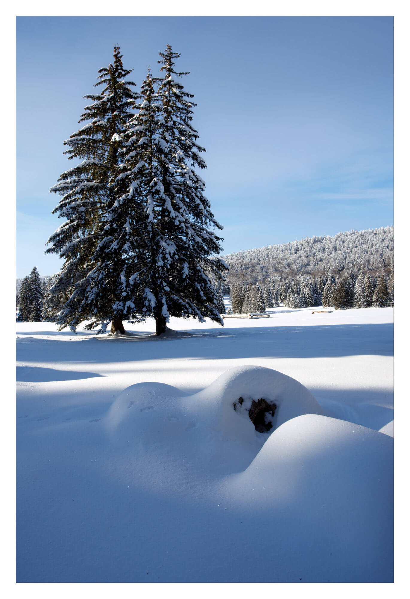 Jura hiver, Canon EOS R
Canon 24-105 F4 L USM RF