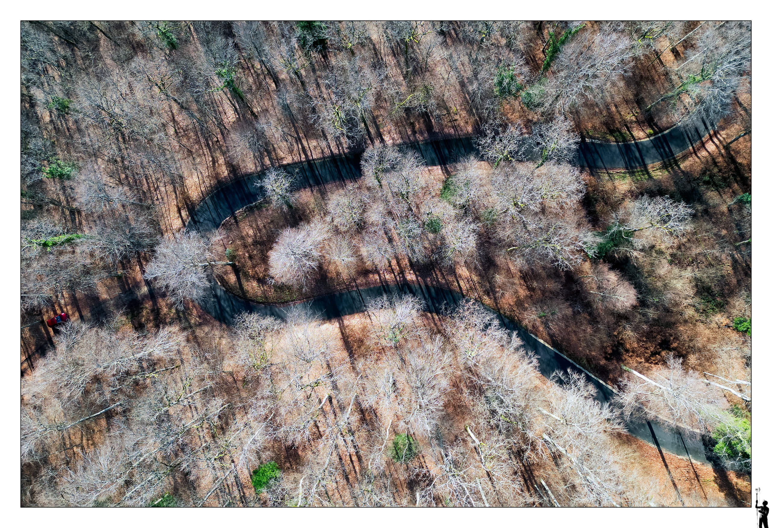 Vue depuis le ciel des forêts du Jura au drone DJI