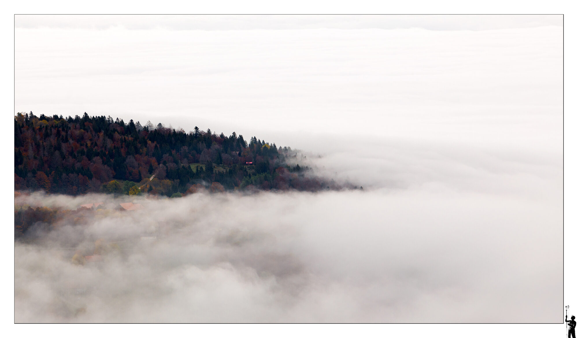 Dans la brume
In the mist