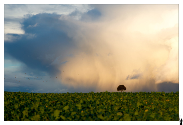 Orage d'automne dans le canton de Vaud près de Penthéréaz