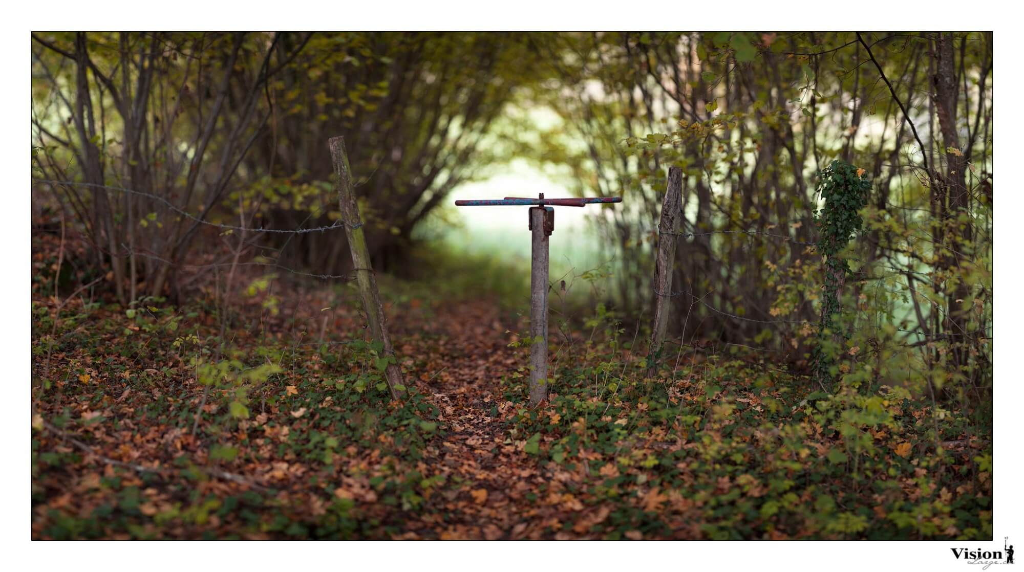 Passage dans la forêt de Chamblon