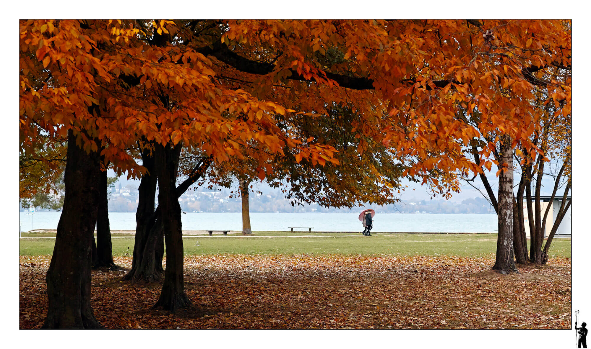 Promenade sous la pluie fine d'automne