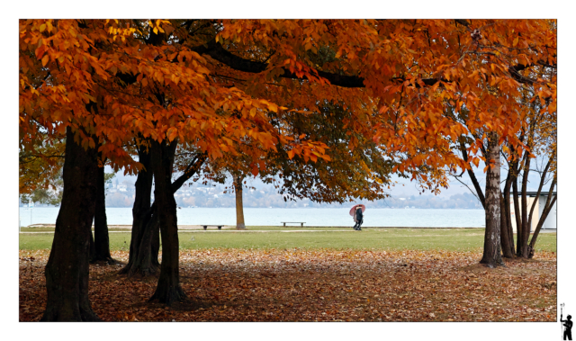 Automne sur la plage à Yverdon en Suisse