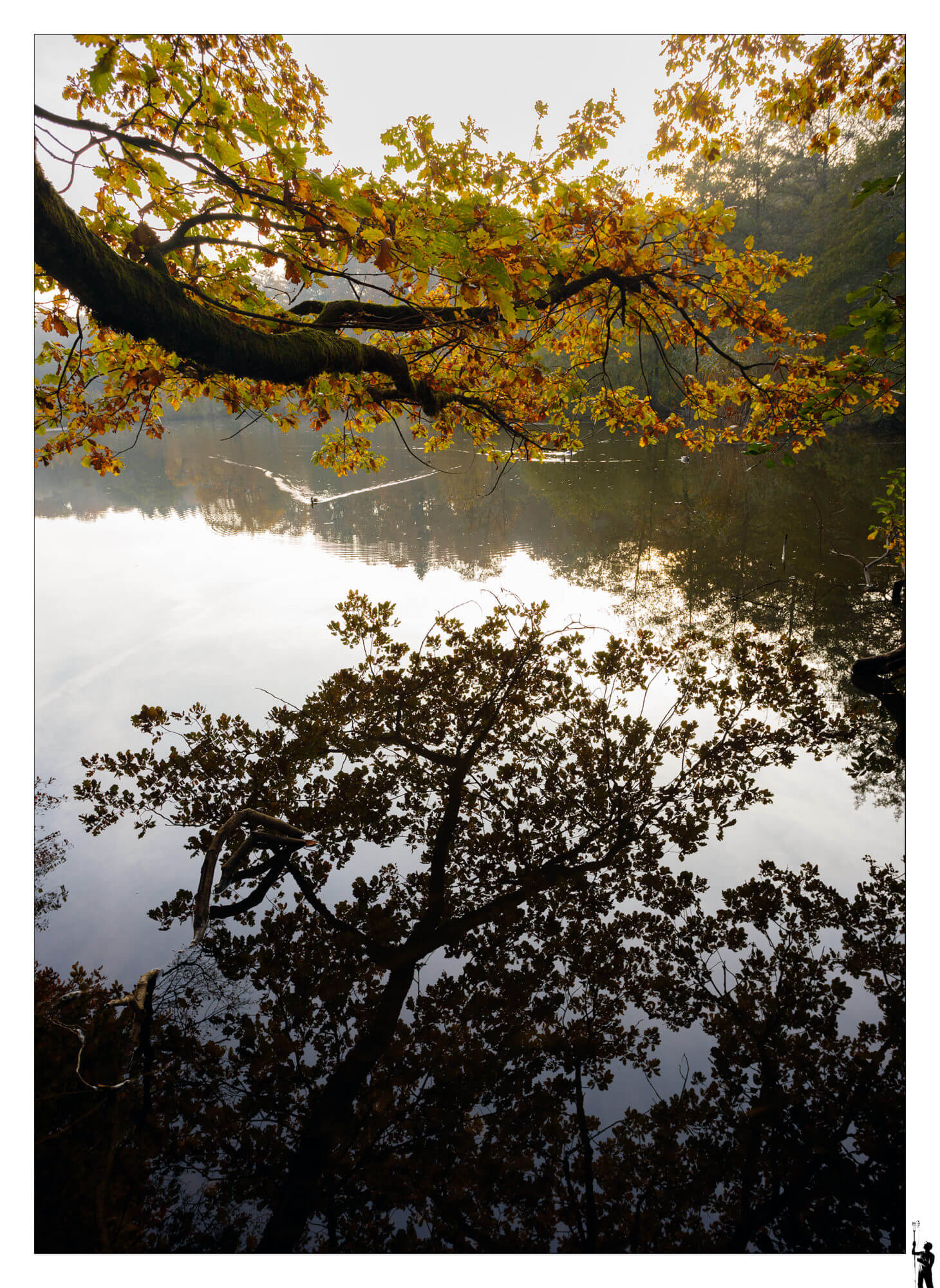 Etang du Seppey, Cossonay