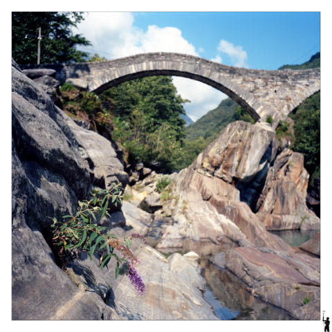 le pont de Verzasca en suisse