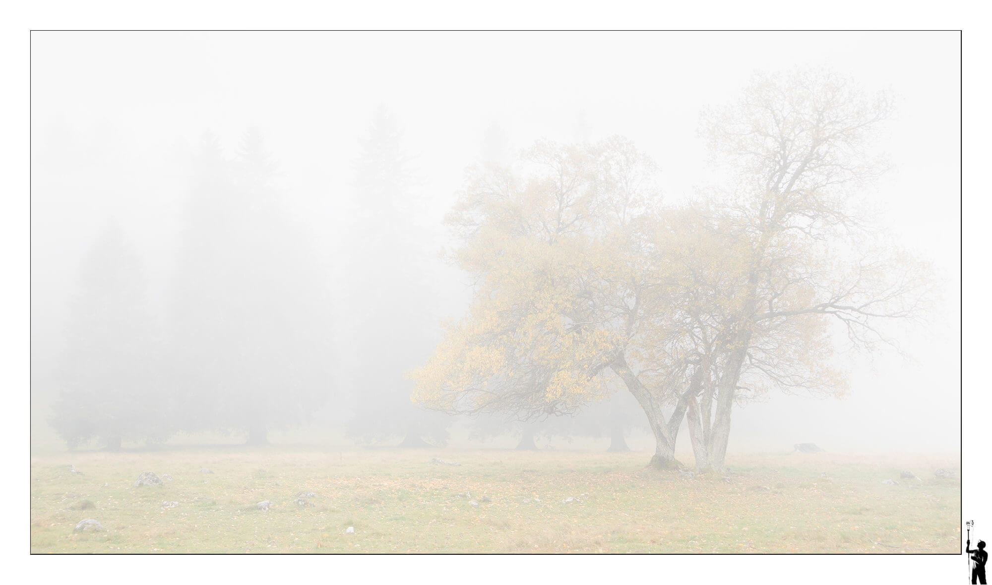 Brume d'automne près de Bullet. M50 et 50F1.8 II