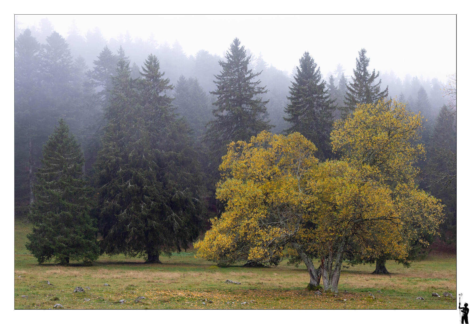 Brume d'automne près de Bullet. M50 et 50F1.8 II