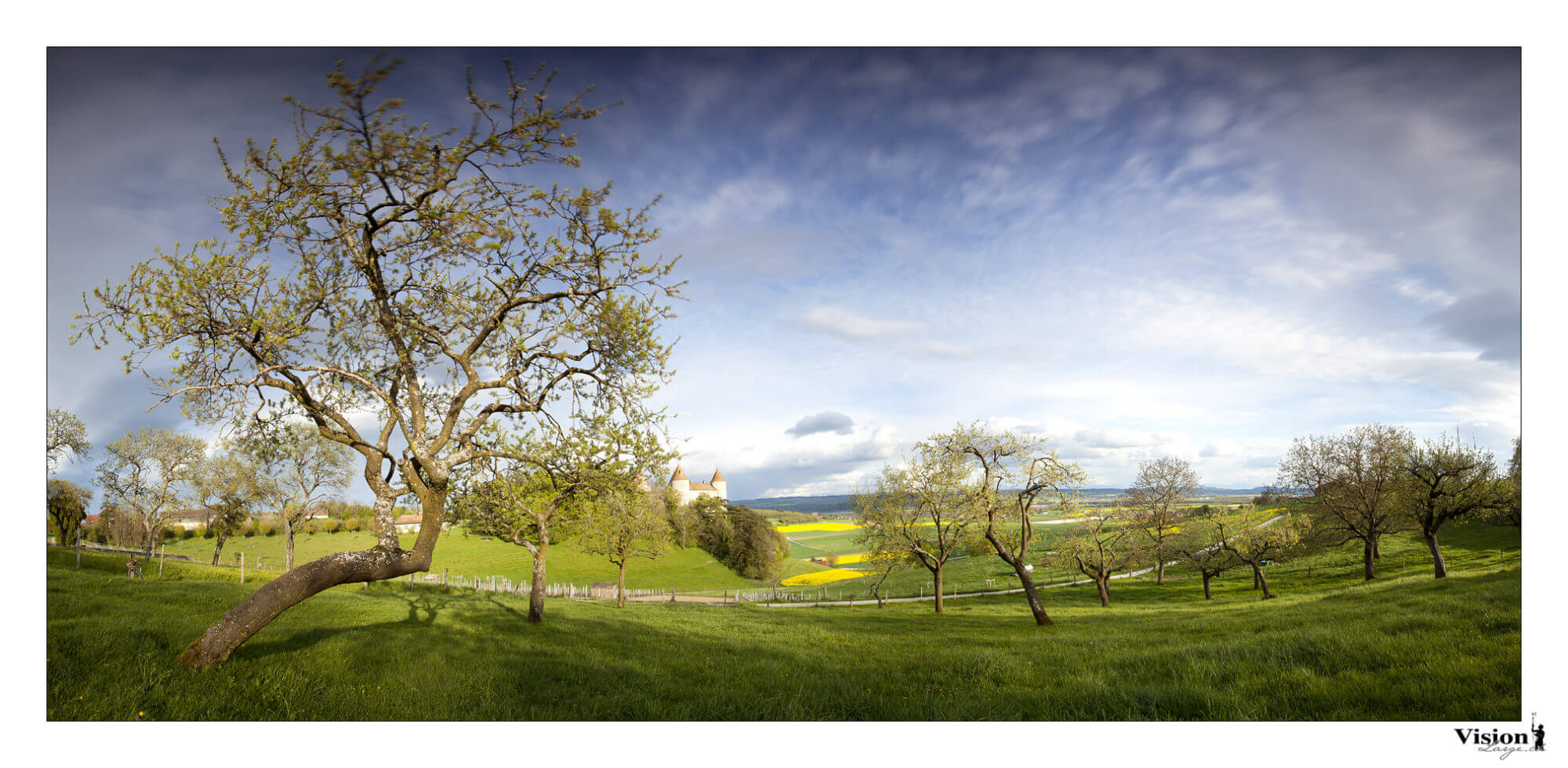 Panorama en couleurs des arbres fruitiers vers le château de Champvent en Suisse