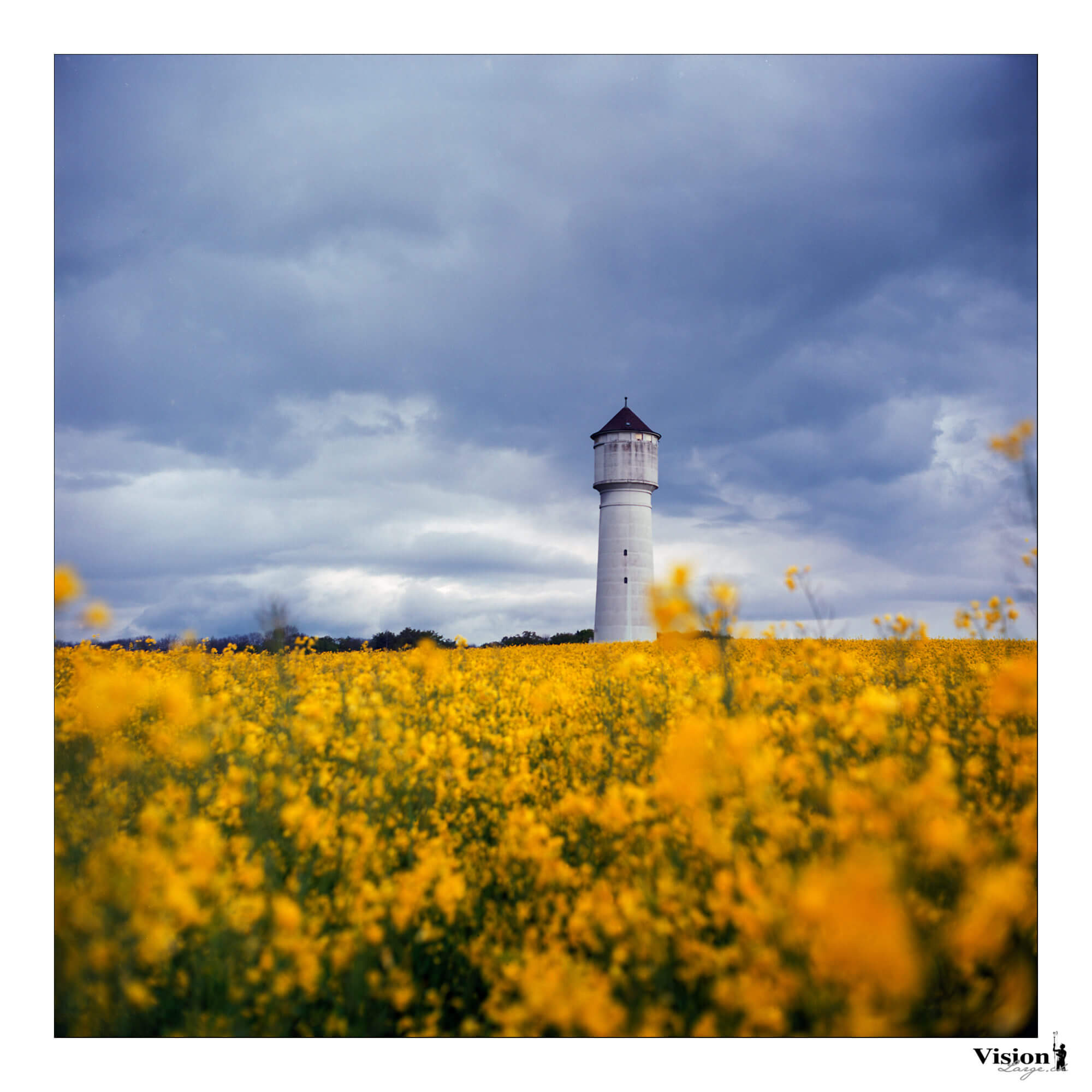 photo au 6x6 argentique couleurs Ektar 100 à Goumoens