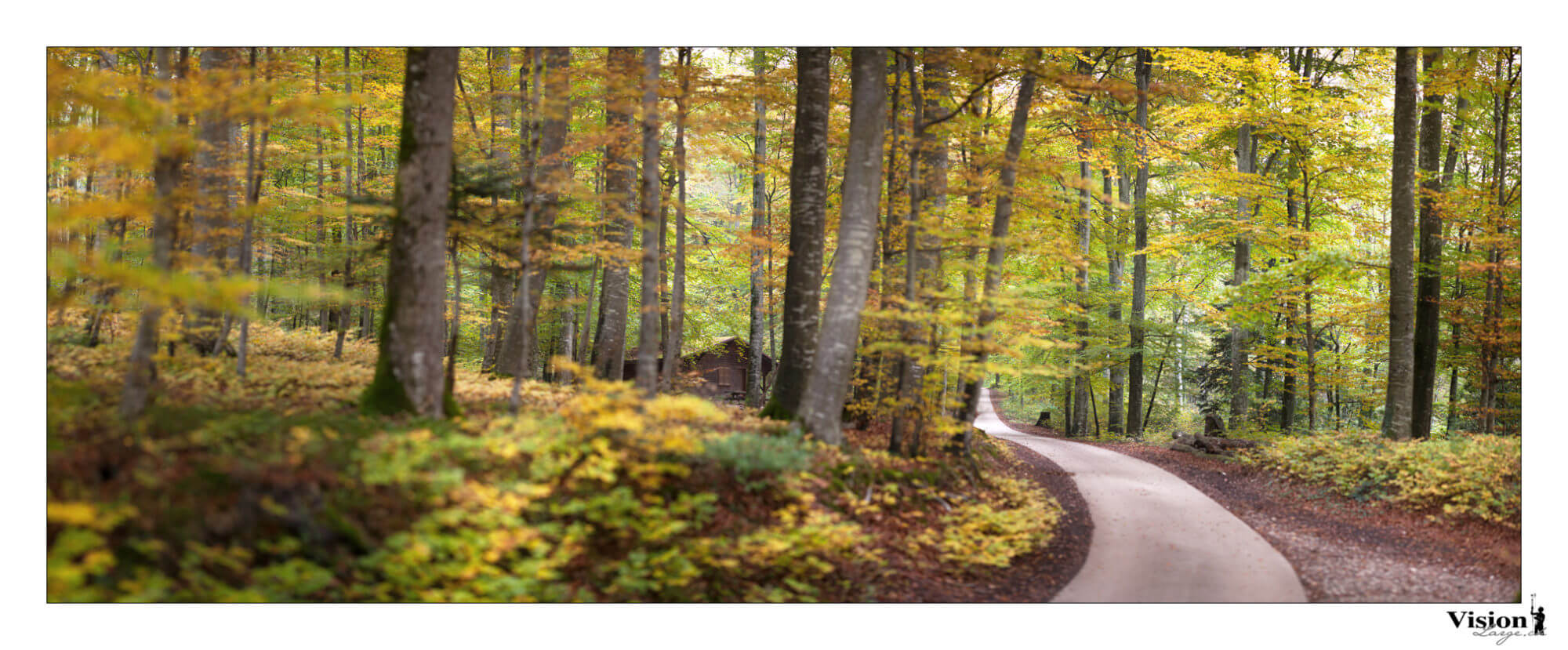 Couleurs d'automne en forêt et sa petite cabane