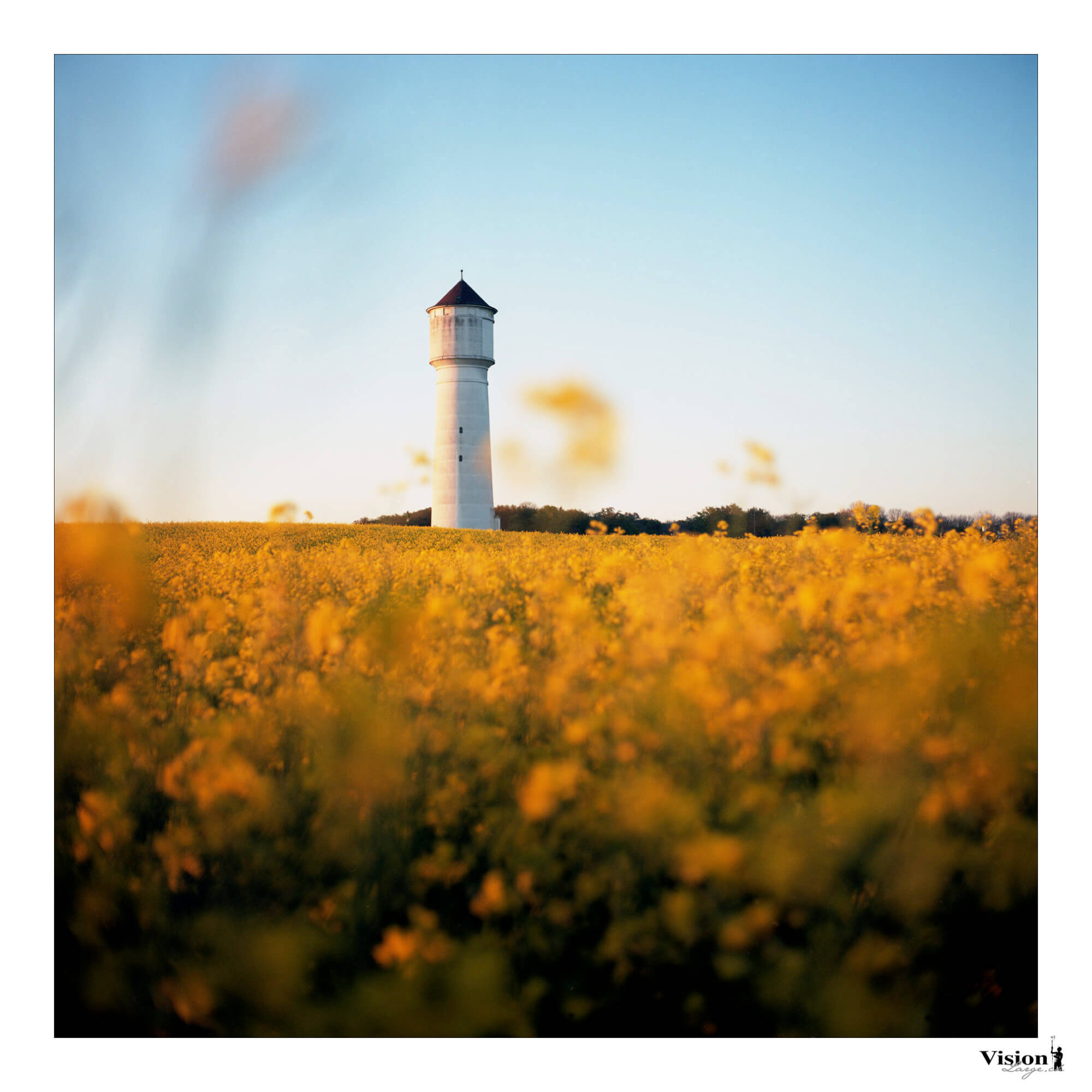 photo au 6x6 argentique couleurs près de Goumoens