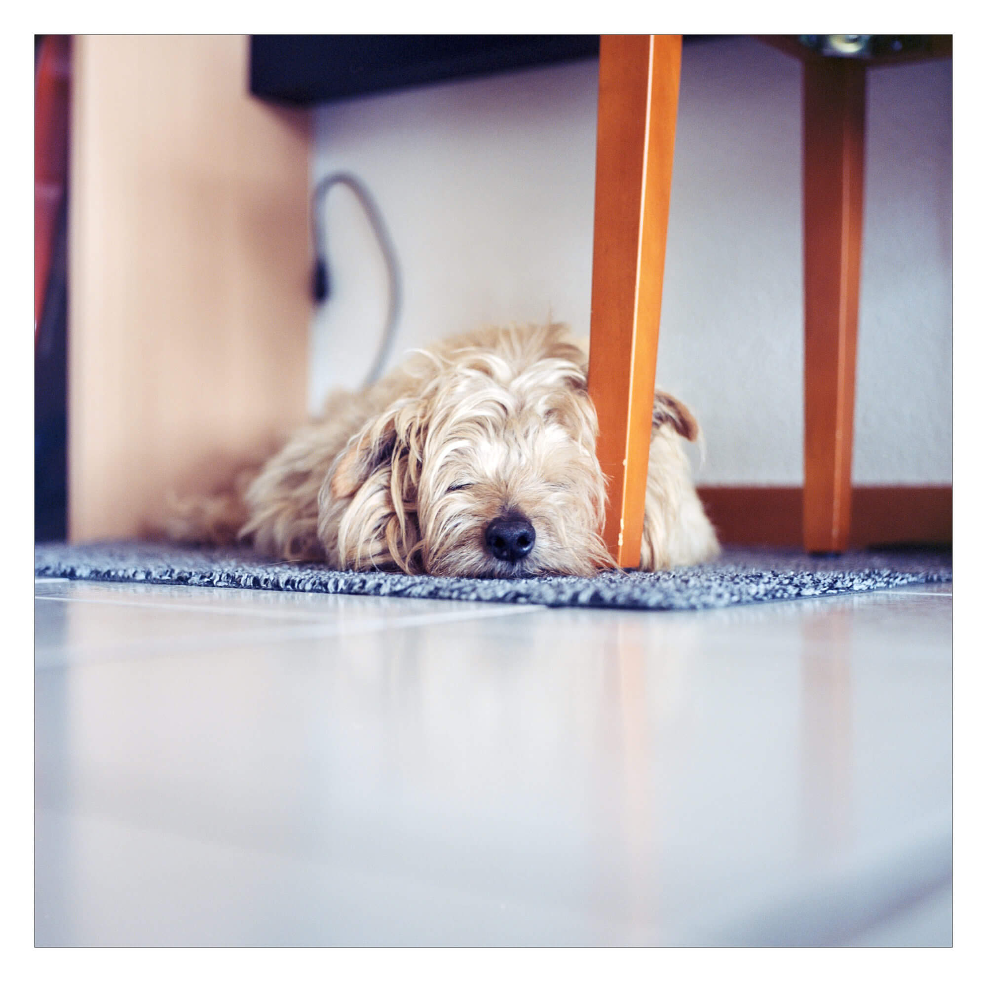 photo au 6x6 argentique couleurs
Rétrospective 1