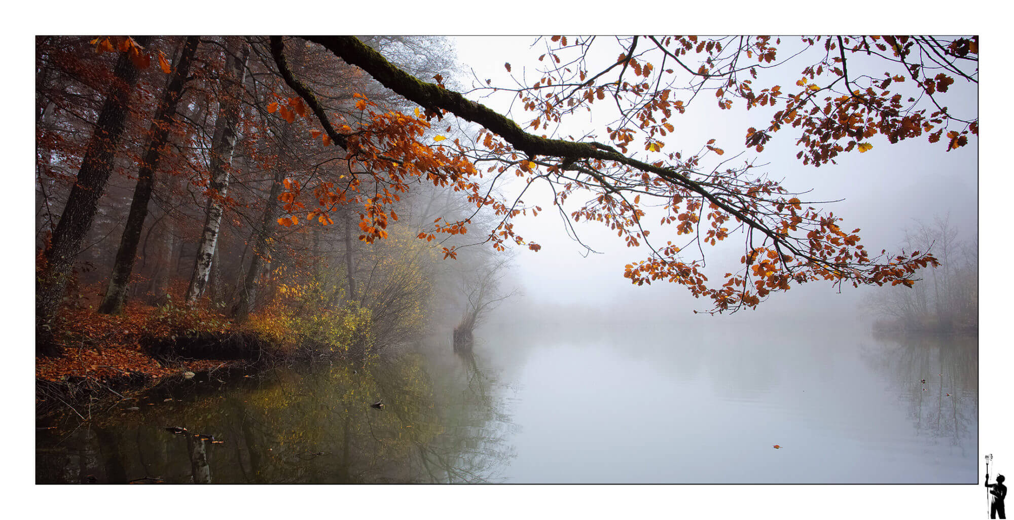 Etang du Seppey dans la brume d'un mois de Novembre