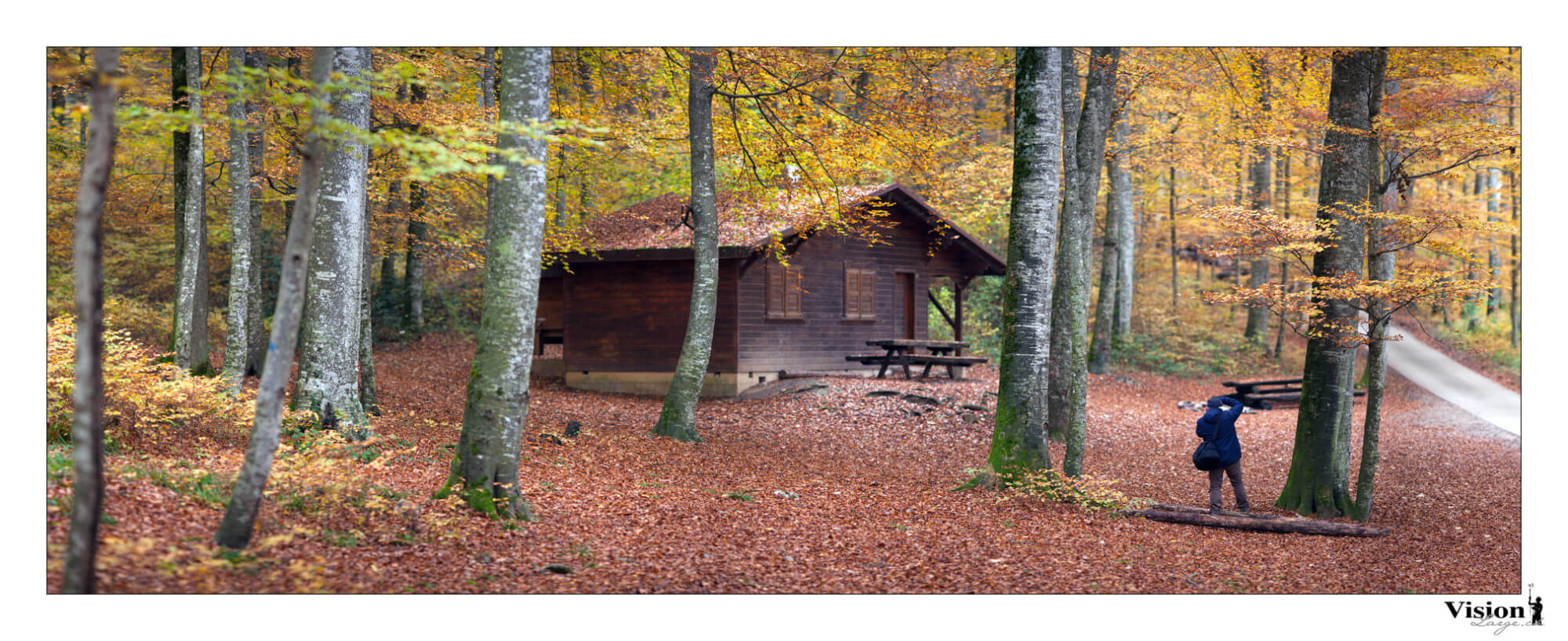 Photographe en action dans la forêt de Champagne en automne
