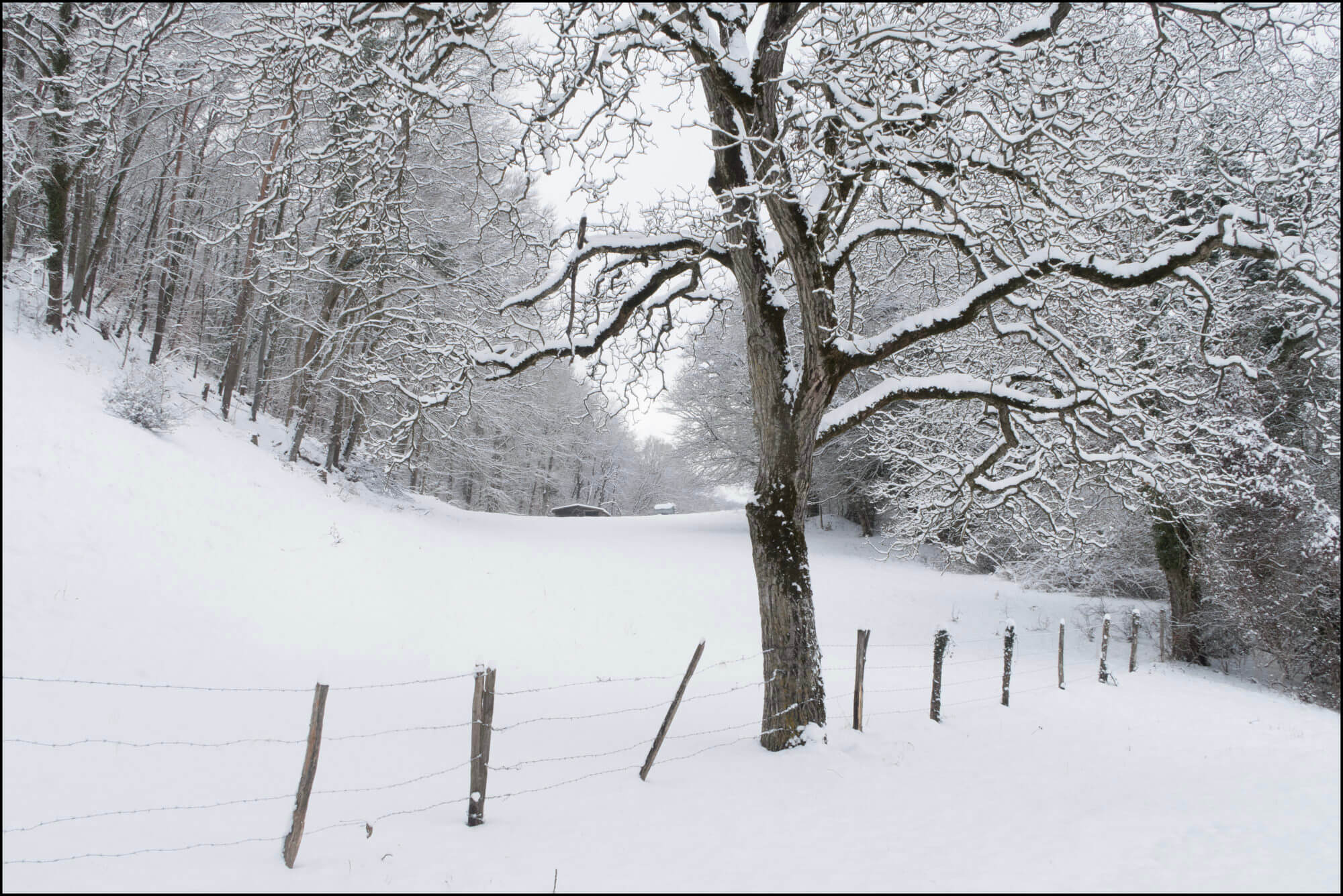 Chamblon sous la neige et ses sous-bois