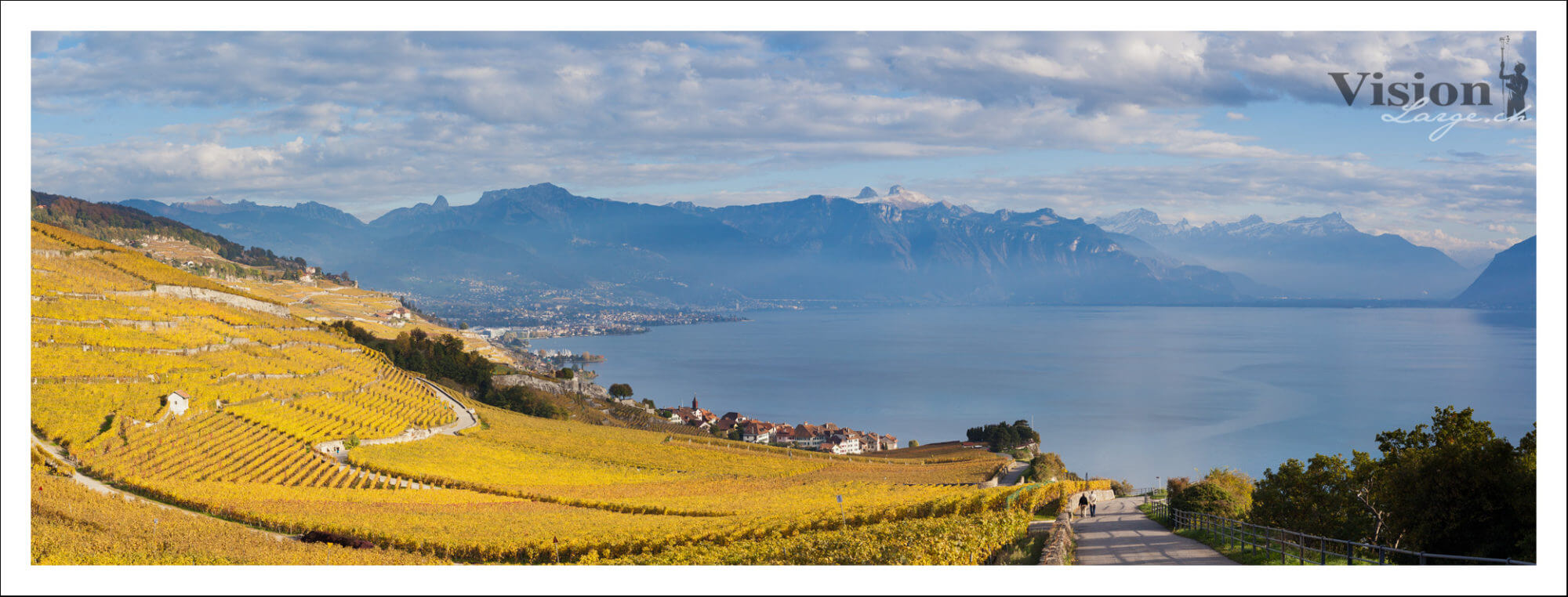 Lavaux