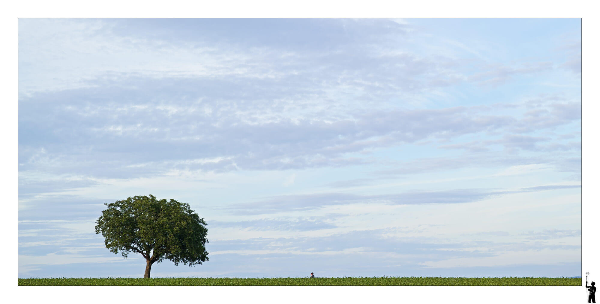 Promeneurs en nature minimaliste au fovéon Sigma